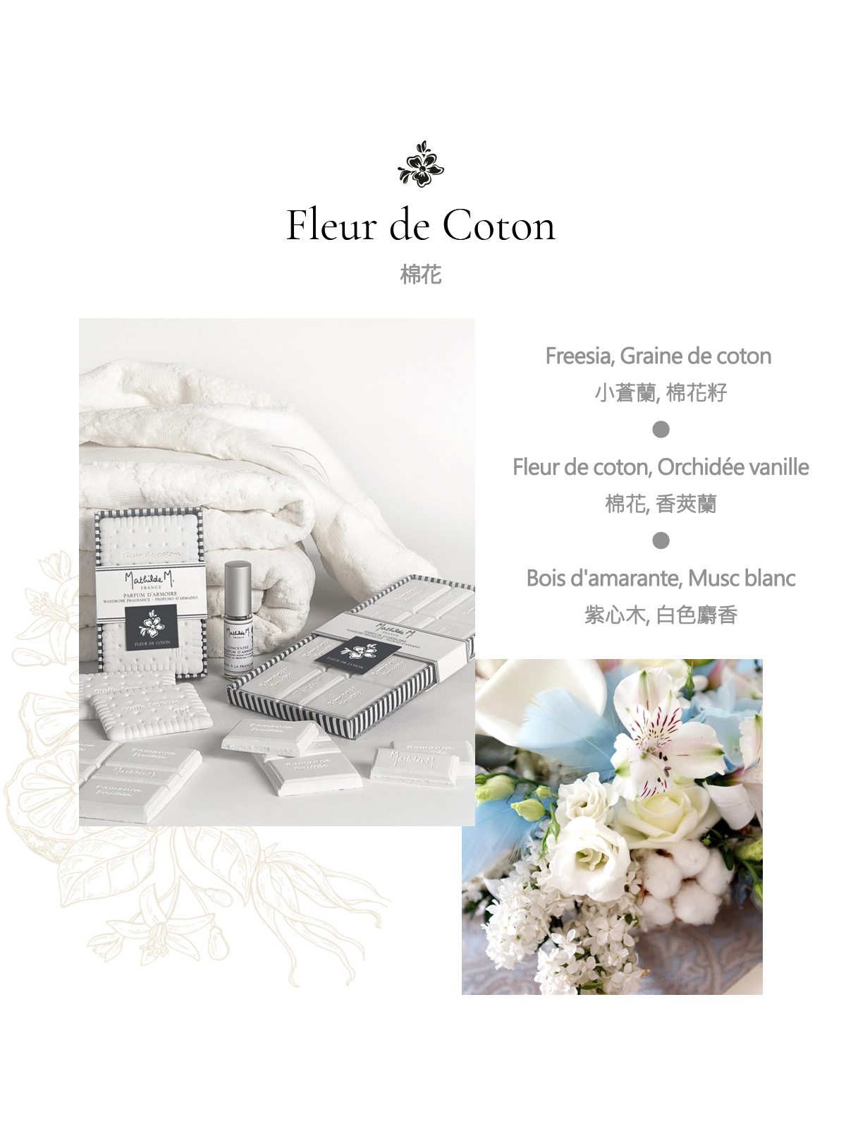 Fleur de Coton ֪