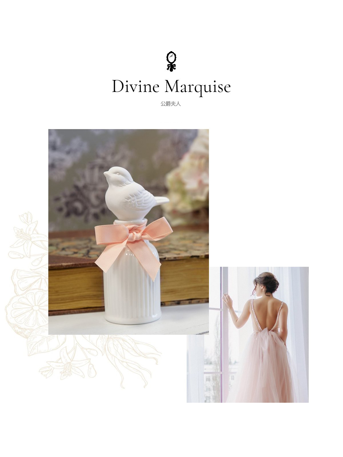 Divine Marquise ҤH