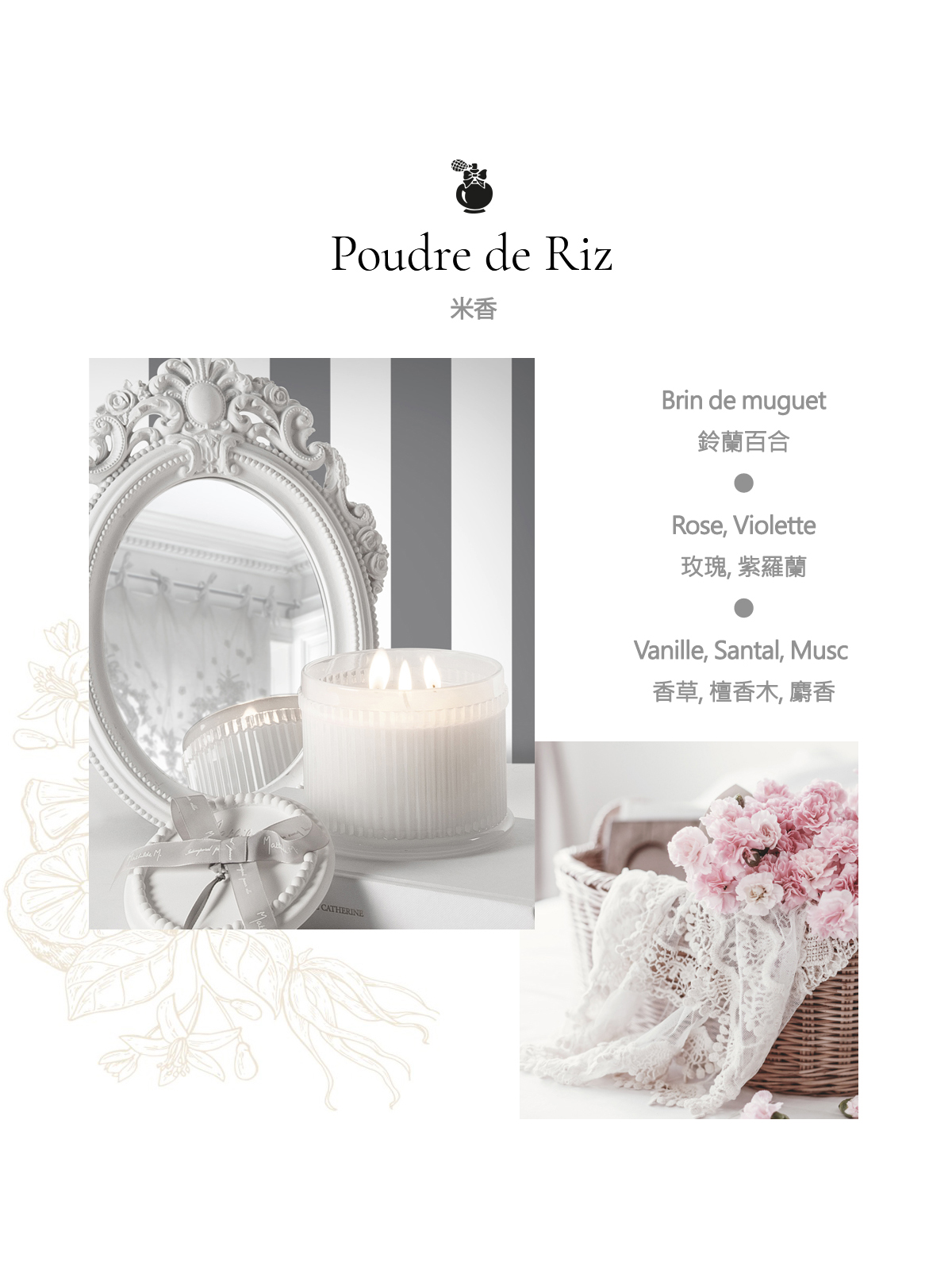 Poudre de Riz ̭