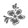 Everose RܻT - Fleur de Coton <br>֪ 