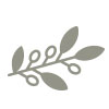 Everose RܻT - Olive Wood <br>V 