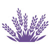 Everose RܻT - LAVENDER <br>Ȧ 