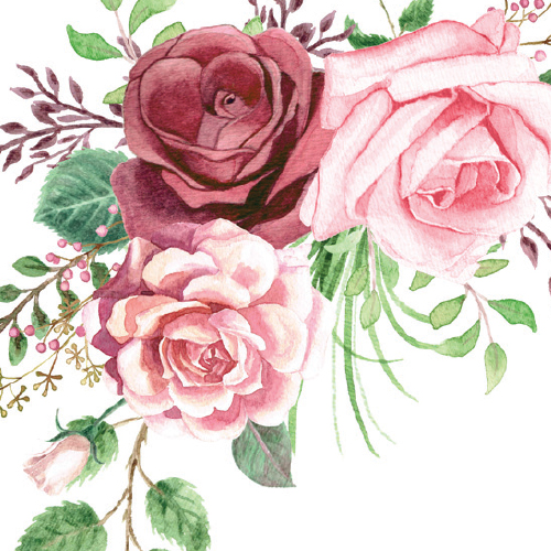 Everose RܻT - English Rose <br>^ꪴ 