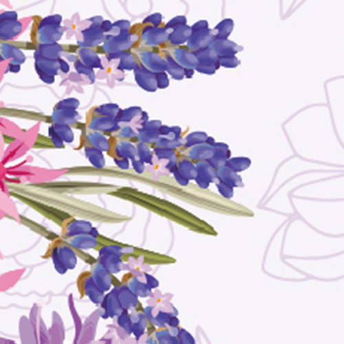 Everose RܻT - Lavender <br>Ȧ 