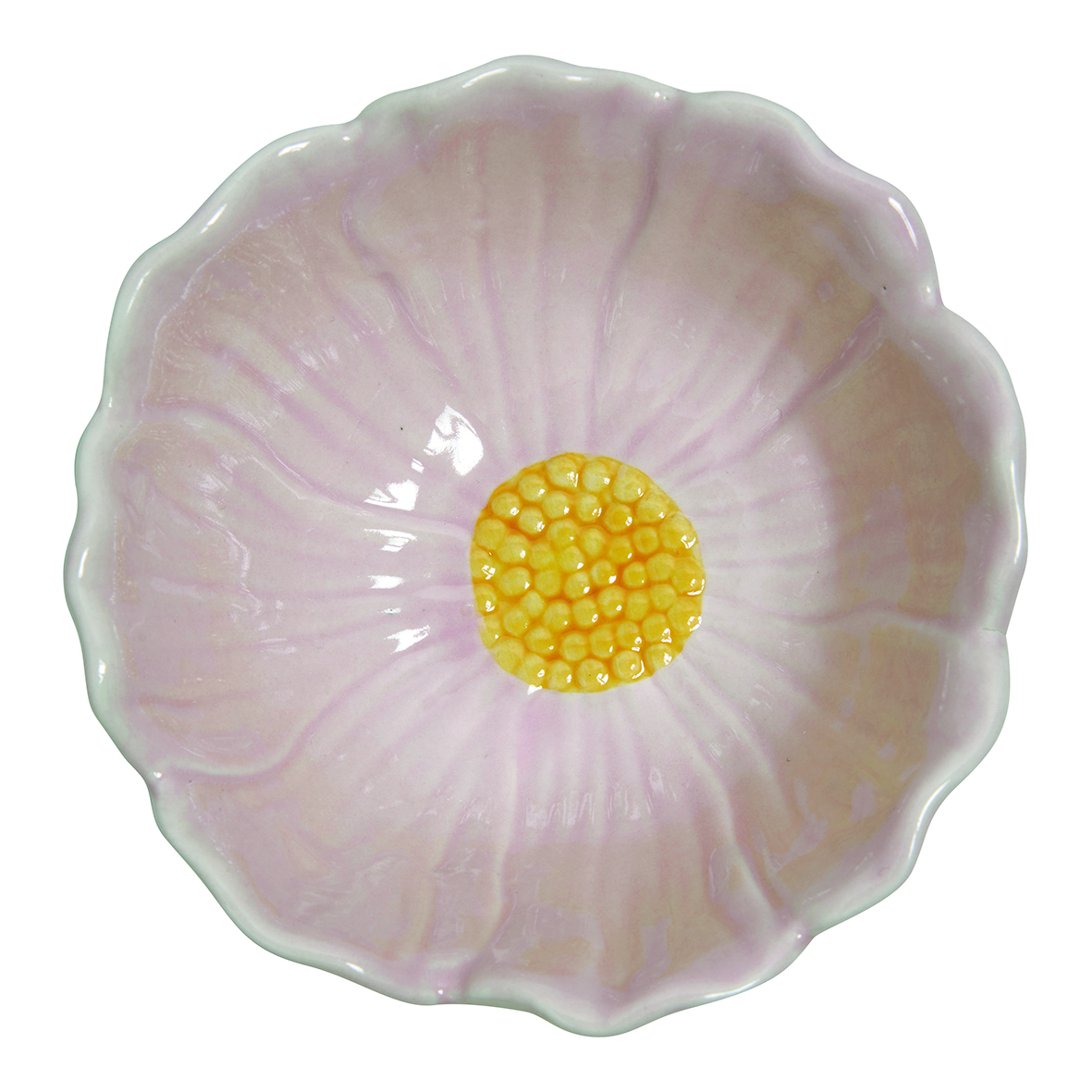 Everose RܻT: k {J